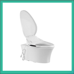 Kohler Electronic Bidet Seats